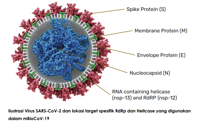 Obat virus omicron