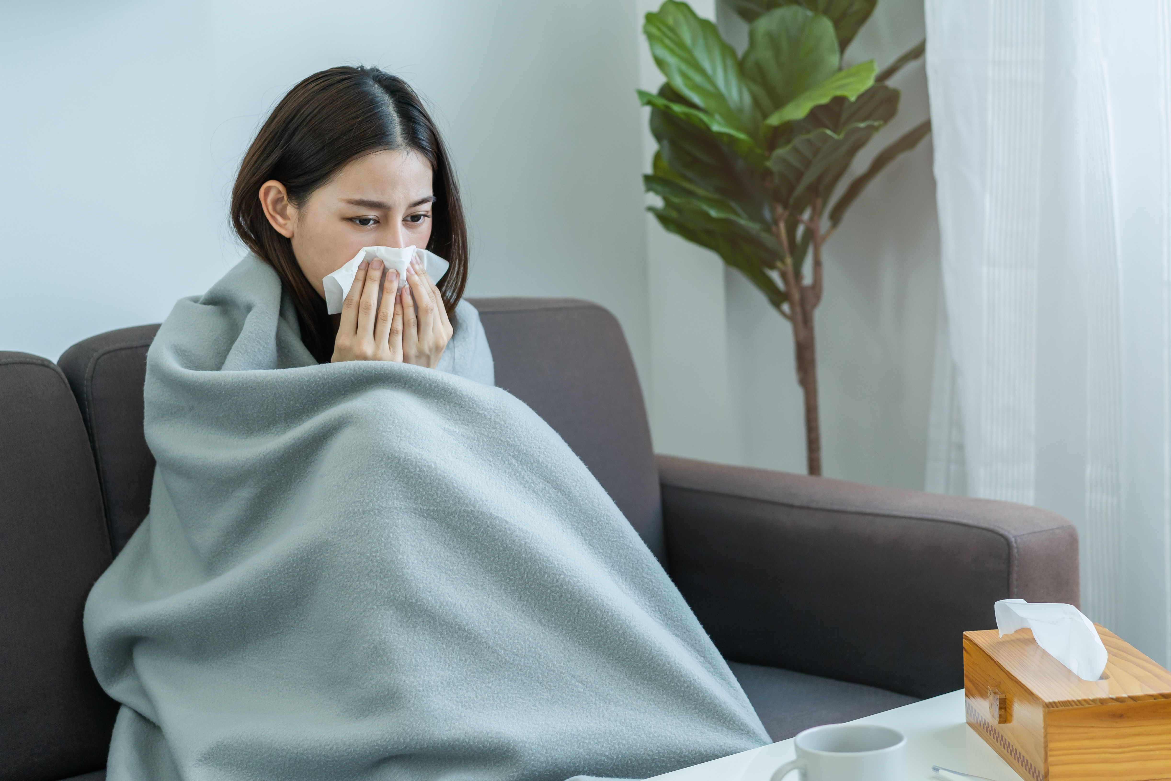 A young woman sitting on a sofa covered with a blanket, sneezing into a tissue due to flu or cold, illustrating symptoms of influenza and the importance of maintaining health and immunity