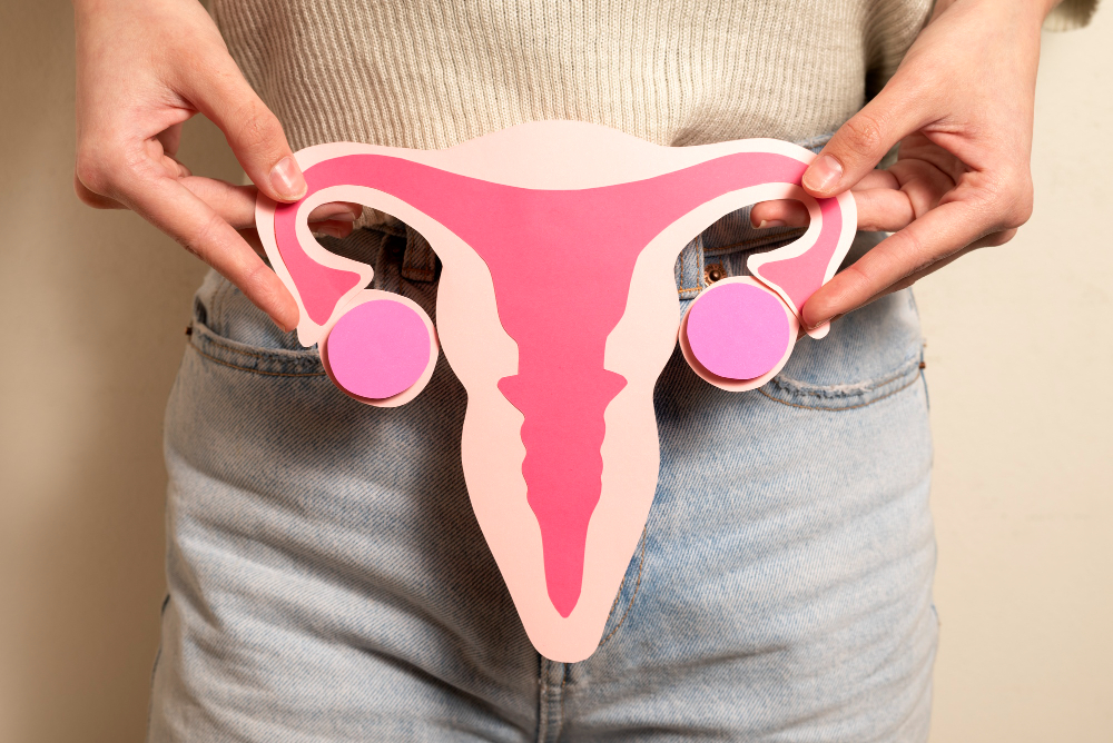 Uterus illustration symbolizing cervical cancer prevention, early detection, and women&rsquo;s health.