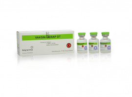 Adsorbed-DT-Vaccine