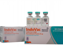 IndoVac