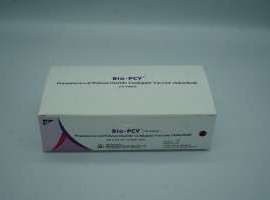 WhatsApp Image 2023-05-11 at 15.17.17