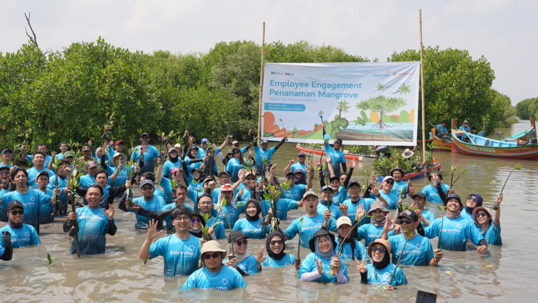 WhatsApp Image 2024-11-18 at 11.00.29