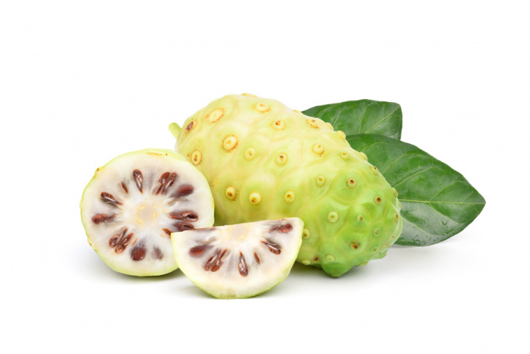 Manfaat buah mengkudu untuk kesehatan