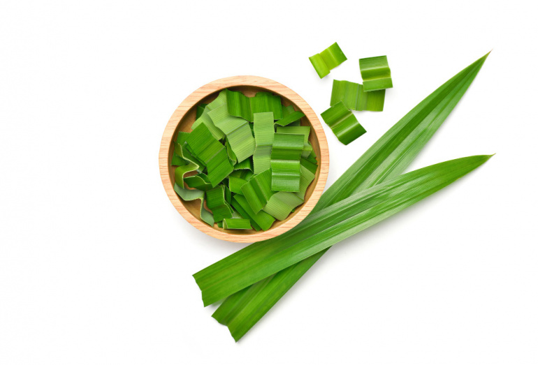 Manfaat daun pandan untuk kesehatan