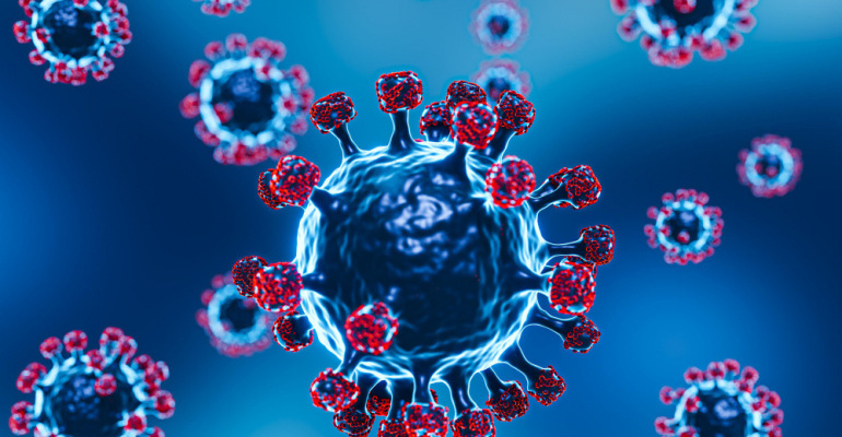 Cara mencegah virus nipah