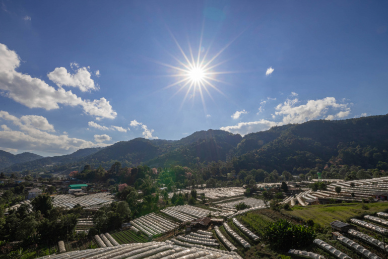 kemarau