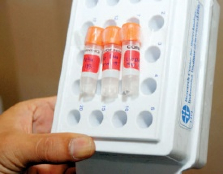 Hormon buat Penderita Gagal Ginjal